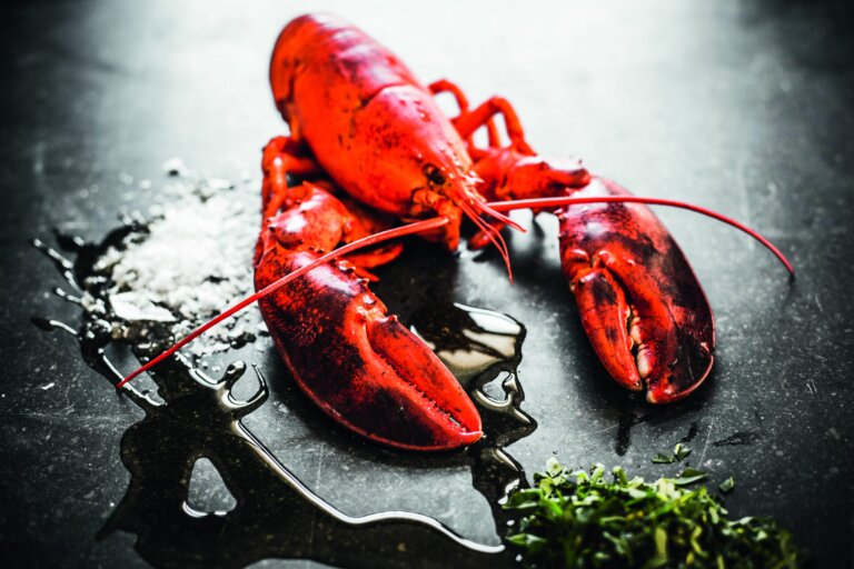 Restaurant Gutschein für Restaurant Marseille