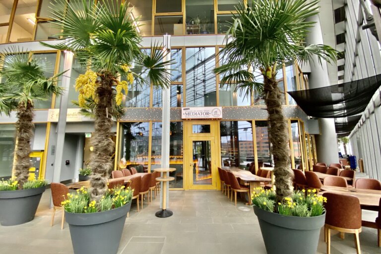 Restaurant Gutschein für Mediator